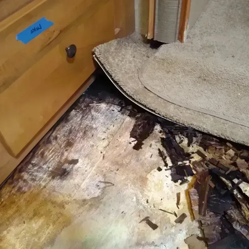 Best Wood Floor Water Damage Service in Clinton, IN